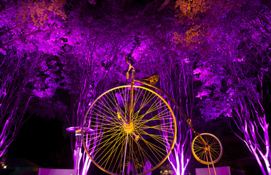 A Magical Night at Overton Park