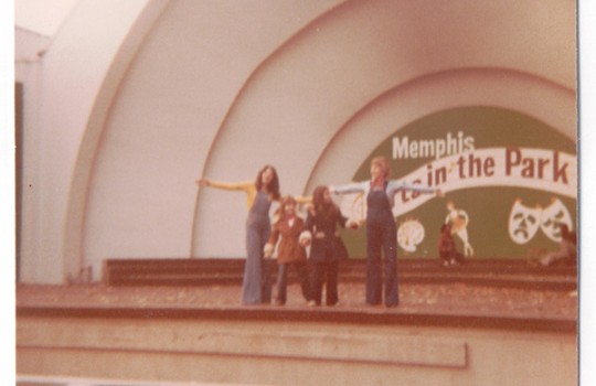 Levitt Shell
