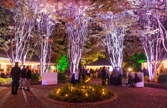 A Magical Night at Overton Park 2013
