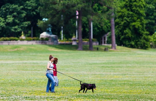 Walking on the Greensward